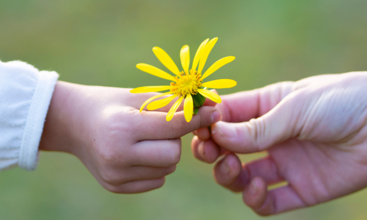 Segítő beszélgetés – Szülőkonzultáció gyógypedagógussal