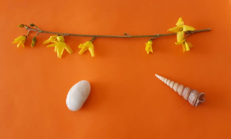 Művészetterápiás csoport